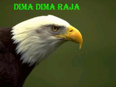 dima..